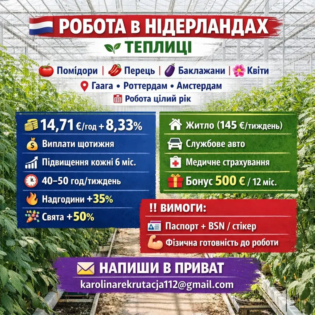 Робота в Нідерландах | Haga | €14.71