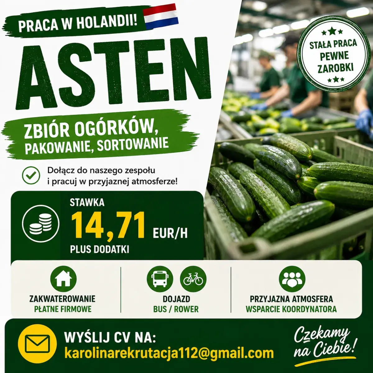 Zrywanie, sortowanie ogórków | Asten | €14.71
