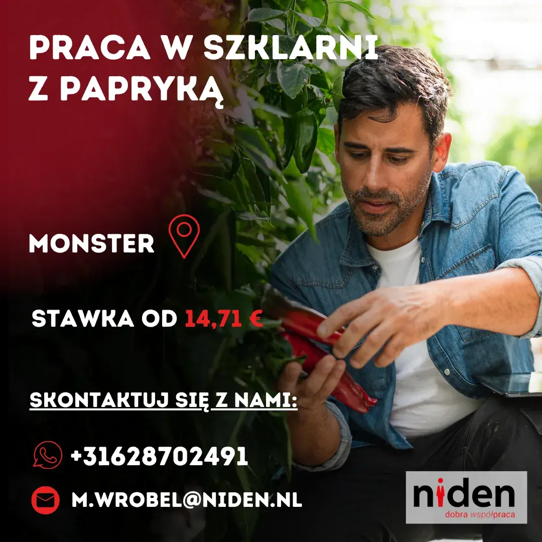 Praca na szklarni z papryką | Monster | €14.71