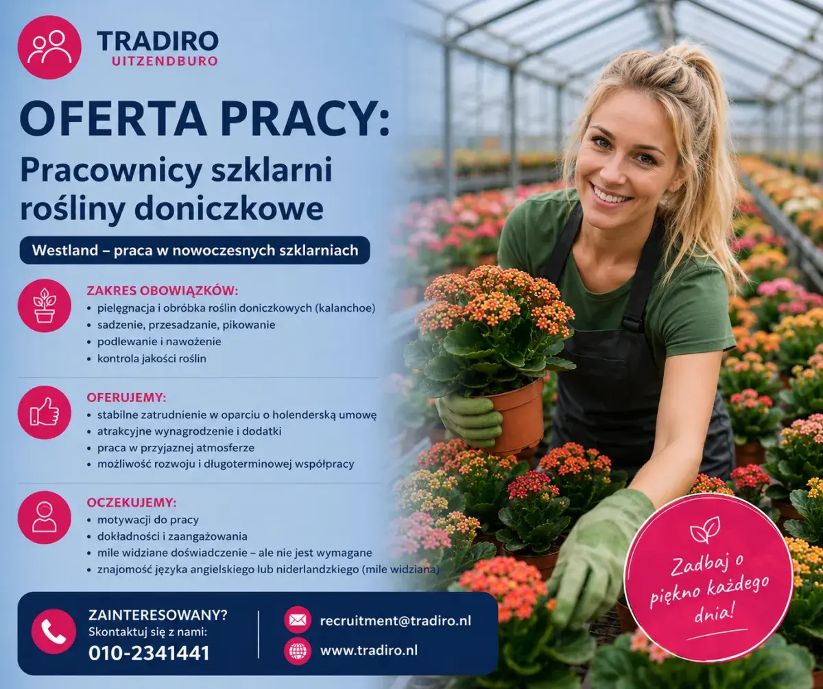 Pracownik szklarniowy- kwiaty doniczkowe | Maasdijk | €14.99