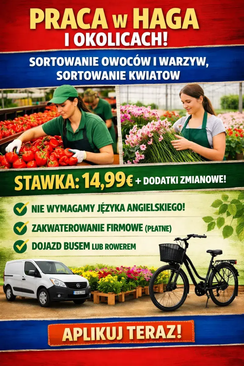 Sortowanie owoców i warzyw | Haga | €14.99
